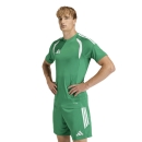 TIRO 26 LEAGUE Jersey TEAM GREEN/WHITE