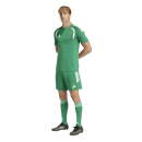 TIRO 26 LEAGUE Trikot TEAM GREEN/WHITE