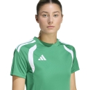 TIRO 26 LEAGUE Damen-Trikot TEAM GREEN/WHITE