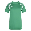 TIRO 26 LEAGUE Womens Jersey TEAM GREEN/WHITE