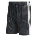 TIRO 26 COMPETITON Torwartshort BLACK