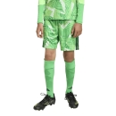 TIRO 26 COMPETITON Youth Goalkeeper short LIME BURST