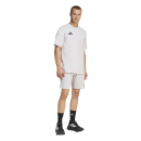 TIRO TRAVEL Short TEAM LIGHT GREY/BLACK