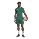 ENTRADA 26 Short DARK GREEN/WHITE