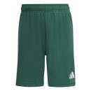 ENTRADA 26 Youth Short DARK GREEN/WHITE