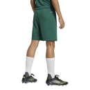 ENTRADA 26 Youth Short DARK GREEN/WHITE