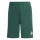 ENTRADA 26 Youth Short DARK GREEN/WHITE