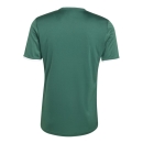 ENTRADA 26 Jersey DARK GREEN/WHITE