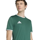 ENTRADA 26 Trikot DARK GREEN/WHITE