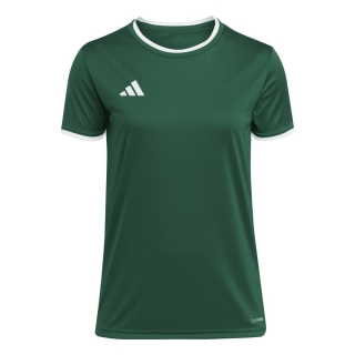 ENTRADA 26 Damen-Trikot DARK GREEN/WHITE