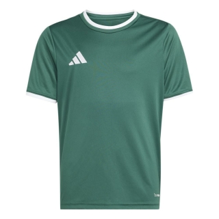 ENTRADA 26 Kinder-Trikot DARK GREEN/WHITE