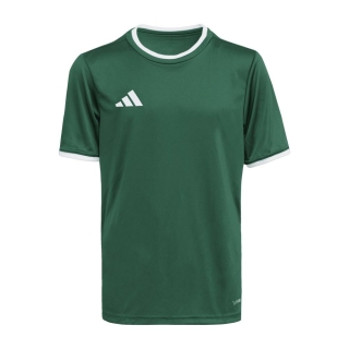 ENTRADA 26 Youth Jersey DARK GREEN/WHITE