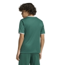 ENTRADA 26 Kinder-Trikot DARK GREEN/WHITE
