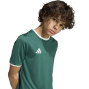 ENTRADA 26 Kinder-Trikot DARK GREEN/WHITE