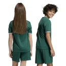ENTRADA 26 Kinder-Trikot DARK GREEN/WHITE