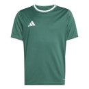 ENTRADA 26 Youth Jersey DARK GREEN/WHITE