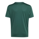 ENTRADA 26 Youth Jersey DARK GREEN/WHITE