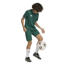 ENTRADA 26 Youth Jersey DARK GREEN/WHITE