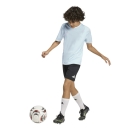 ENTRADA 26 Youth Jersey HALO MINT/WHITE