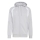 TIRO 26 LEAGUE Kapuzenjacke TEAM LIGHT GREY/WHITE