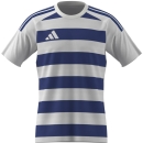 HOOPED 26 Jersey WHITE/ROYAL BLUE