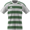 HOOPED 26 Jersey WHITE/TEAM GREEN