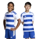 HOOPED 26 Youth Jersey WHITE/ROYAL BLUE