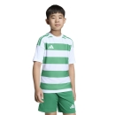 HOOPED 26 Kinder-Trikot WHITE/TEAM GREEN