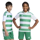 HOOPED 26 Youth Jersey WHITE/TEAM GREEN