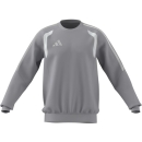 TIRO 26 LEAGUE Sweatshirt TEAM LIGHT GREY/WHITE