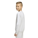 TIRO 26 LEAGUE Kinder-Sweatshirt TEAM LIGHT GREY/WHITE