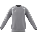TIRO 26 LEAGUE Kinder-Sweatshirt TEAM LIGHT GREY/WHITE