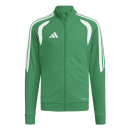 TIRO 26 LEAGUE Youth Training jacket TEAM GREEN/WHITE