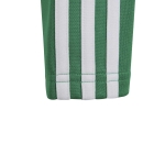 Kinder-Trainingsjacke SQUADRA 25 TEAM GREEN/WHITE