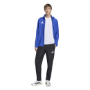 ENTRADA 26 Multi jacket ROYAL BLUE/WHITE