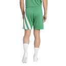 FORTORE 23 Short TEAM GREEN/WHITE 2XL