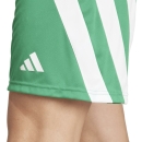 FORTORE 23 Short TEAM GREEN/WHITE 2XL