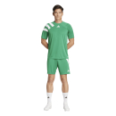 FORTORE 23 Short TEAM GREEN/WHITE 2XL