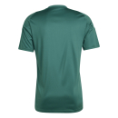 TIRO 24 Jersey DARK GREEN/WHITE 2XL