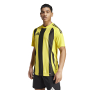 STRIPED 24 Jersey TEAM YELLOW/BLACK 2XL