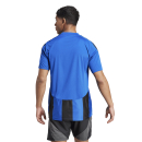 STRIPED 24 Trikot ROYAL BLUE/BLACK 2XL
