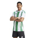 STRIPED 24 Jersey WHITE/TEAM GREEN 2XL