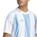 STRIPED 24 Jersey TEAM LIGHT BLUE/WHITE/WHITE 2XL
