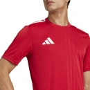 CAMPEON 25 Jersey TEAM POWER RED/WHITE 2XL