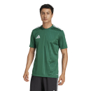 CAMPEON 25 Trikot DARK GREEN/WHITE 2XL