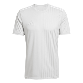CAMPEON 25 Jersey TEAM LIGHT GREY/WHITE 2XL