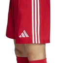 TASTIGO25 Short TEAM POWER RED 2XL