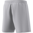TASTIGO25 Short TEAM LIGHT GREY 2XL