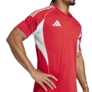 TIRO 25 COMPETITION Matchday Jersey TEAM POWER RED/TEAM LIGHT GREY 2XL