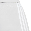 SQUADRA 25 Short TEAM LIGHT GREY/WHITE